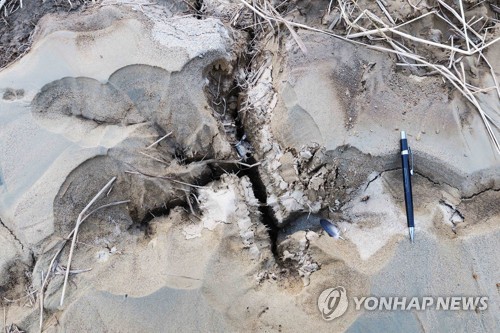 한국지질자원연구원이 11·15 포항 지진(규모 5.4) 진앙 인근에서 발견한 ‘샌드 볼케이노’(화산 모양의 모래 분출구). 지진 흔들림으로 땅 아래 있던 흙탕물 등이 지표면 밖으로 솟아오른 이른바 ‘액상화 현상’ 가능성이 있다고 지질연은 19일 설명했다. 기상청은 이날부터 관련 사안을 확인하고자 조사하기로 했다. [사진=한국지질자원연구원]