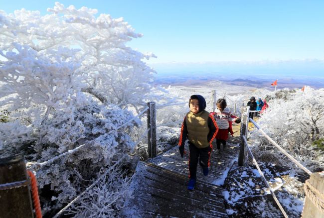 The white peaks of Mt.Halla attracted weekend hikers after receiving the first snowfall of the season early Saturday.(Yonhap)