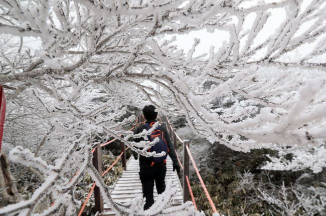 The white peaks of Hallasan attracted weekend hikers after receiving the first snowfall of the season early Saturday.(Yonhap)
