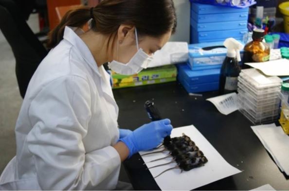 This photo of a researchers was provided courtesy of the Ministry of Science and ICT. (Yonhap)