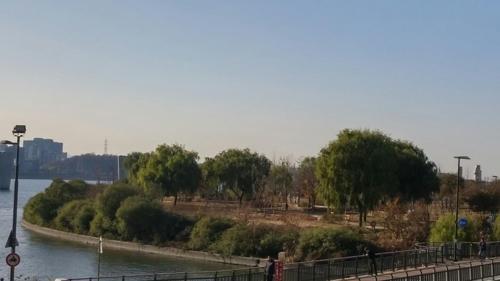 서울 마포구 상암동 난지한강공원 내 난지한강숲 [사진제공=서울시]