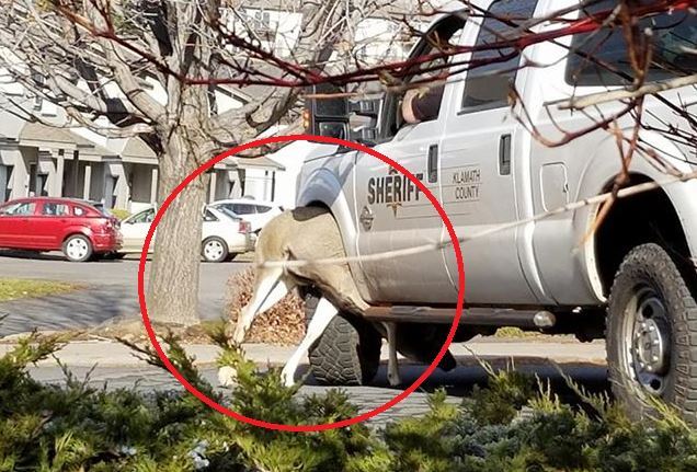 (사진=페이스북)