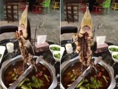 (사진=유튜브 영상 화면 캡쳐)