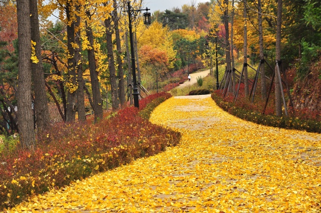 People walk along Namsan Dule-gil in this November file photo. (Seoul Metropolitan Government)