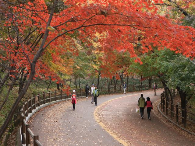 People walk along Namsan Dule-gil in this November file photo. (Seoul Metropolitan Government)