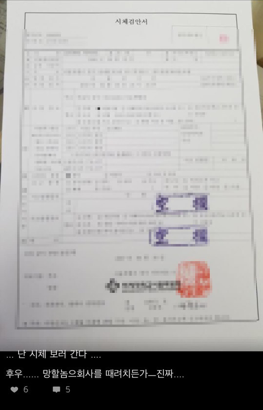 [사진=화물업체 직원이 자신의 개인 SNS에 올린 태국인 P(34) 씨의 사망 증빙 서류]