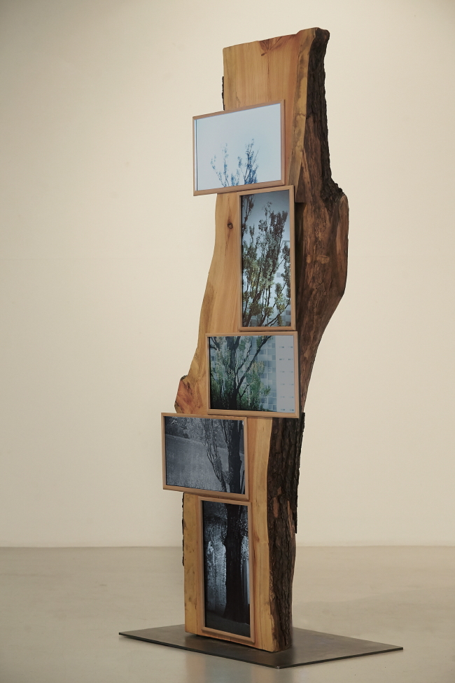 금민정_통곡의나무_video sculpture (wood, 5 LED monitors, video)_250x250x250 cm_2014 [사진제공=코리아투모로우]