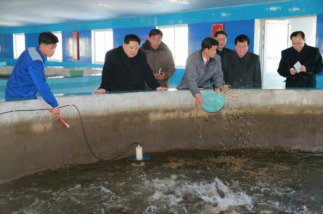 사진설명=평안남도 순천에 최근 준공된 메기공장(양어장)을 시찰했다고 노동당 기관지 노동신문이 28일 보도했다. [사진=연합뉴스]