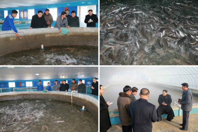 사진설명=외신과 전문가들이 지난 20일(현지시간) 미국의 테러지원국 재지정 이후 북한이 추가 도발에 나설 가능성이 높다는 관측을 잇달아 제기하고 있지만, 정작 김정은 노동당 위원장은 70여일째 도발을 멈추고 현장시찰을 통한 경제행보를 이어가고 있다. 김정은 북한 노동당 위원장이 평안남도 순천에 최근 준공된 메기공장(양어장)을 시찰했다고 노동당 기관지 노동신문이 28일 보도했다. 지난 21일 보도된 승리자동차연합기업소 방문 이후 1주일 만의 행보다. 김정은은 지난 9월 말 이후 황해남도 과일군 방문을 시작으로 군부대 산하 농장, 운동화를 생산하는 류원신발공장, 평양화장품공장, 트럭 생산시설인 3월 16일 공장, 금성트랙터공장, 승리자동차연합기업소 등 경제현장 시찰에 집중해 왔다. 이 과정에서 국제사회의 제재에 맞설 ‘자력갱생’과 ‘국산화’, 이를 위한 과학기술 발전을 연일 강조하고 있다.[사진=노동신문.연합뉴스]