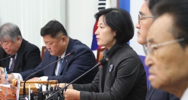 Choo Mi-ae (C), the leader of the ruling Democratic Party, speaks during a party meeting at the National Assembly in Seoul on Nov. 29, 2017. (Yonhap)