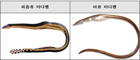 ［사진=해양수산부］
