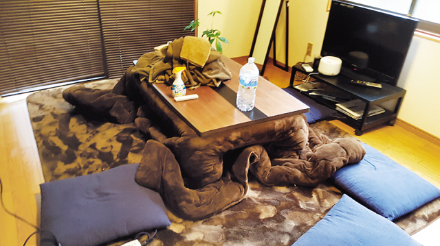 직장인 임모(25ㆍ여) 씨는 최근 에어비앤비 숙소를 이용하다 불쾌감을 느끼고 본사측에 환불을 요구했지만, 1개월여가 지난 지금도 제대로된 보상을 받지 못하고 있다.
[사진=임 씨 제공]