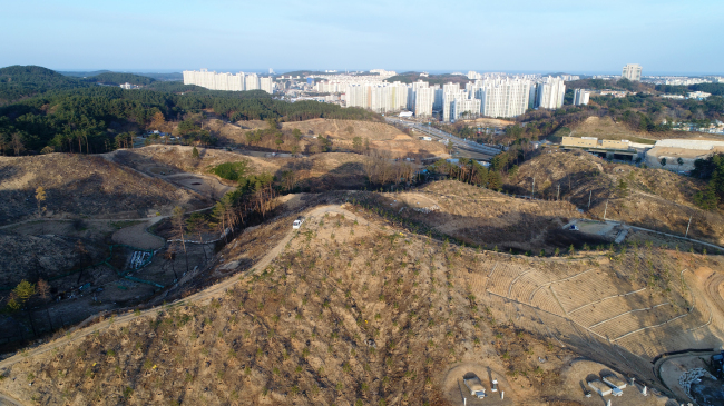 지난 5월 산불이 발생해 252ha의 산림이 숯덩이로 변한 강원 강릉시 홍제동과 성산면 일원에서 30일 본격적인 조림이 이뤄지고 있다. [사진제공=연합뉴스]