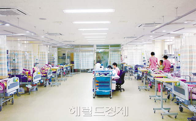 사진은 특정 기사와 관계 없음 [사진=헤럴드DB]