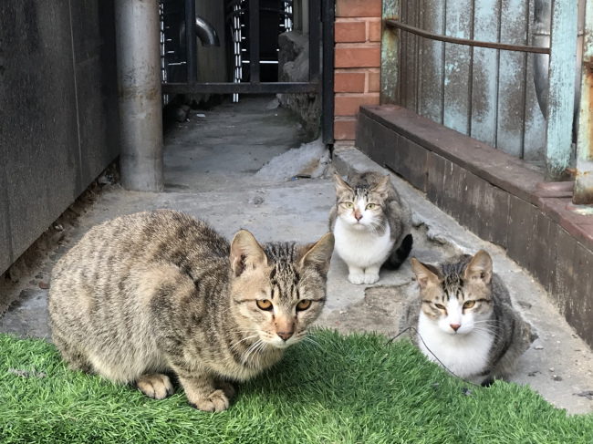 This photo is unrelated to the story (The Korea Herald)