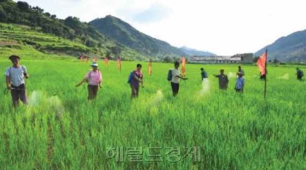 [사진=헤럴드경제DB]