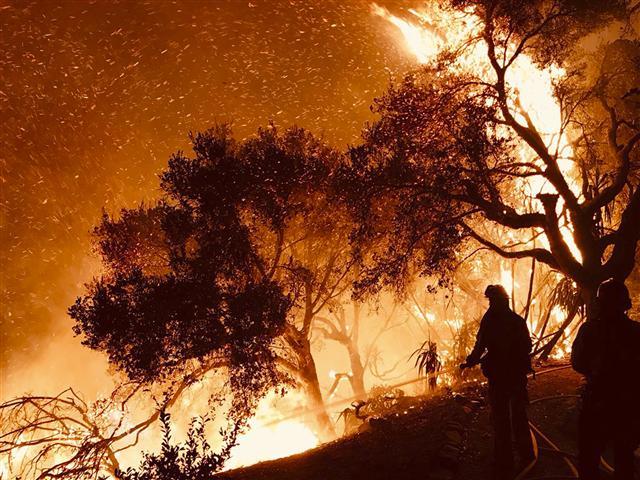 <YONHAP PHOTO-0908> In this Sunday, Dec. 10, 2017 photo released by Santa Barbara County Fire Department firefighters knock down flames as they advance on homes atop Shepherd Mesa Road in Carpinteria, Calif. A flare-up on the western edge of Southern California's largest and most destructive wildfire sent residents fleeing Sunday, as wind-fanned flames churned through canyons and down hillsides toward coastal towns. Crews with help from water-dropping aircraft saved several homes as unpredictable gusts sent the blaze churning deeper into foothill areas northwest of Los Angeles that haven't burned in decades. New evacuations were ordered in Carpinteria, a seaside city in Santa Barbara County that has been under fire threat for days. (Mike Eliason/Santa Barbara County Fire Department via AP)/2017-12-11 04:54:52/ <저작권자 ⓒ 1980-2017 ㈜연합뉴스. 무단 전재 재배포 금지.>