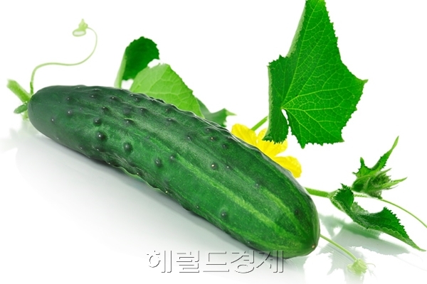 ［사진=헤럴드경제DB］