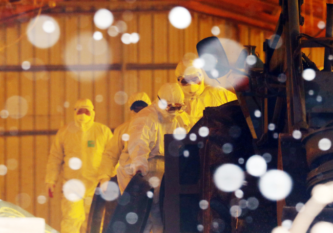 Authorities vaccinate duck farms (Yonhap)