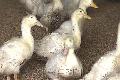 ［사진=헤럴드경제DB］