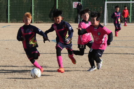 2017 동계 전국유소년클럽 축구페스티벌 모습