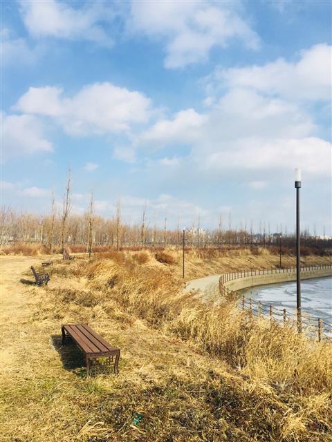 여의도한강공원 강변 산책길. [제공=서울시]