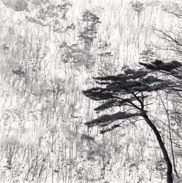 Mountain Walk, Pyeongchang, South Korea. 2012ⓒ Michael Kenna  [제공 공근혜갤러리]
