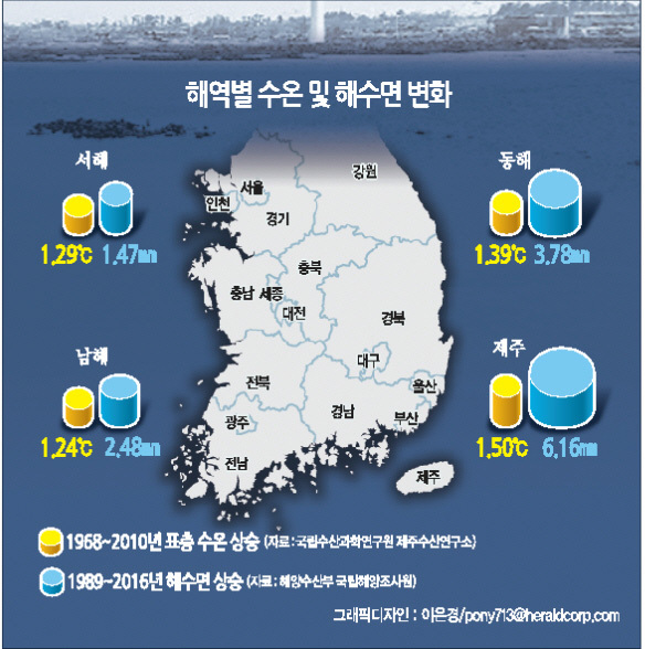 [지구의 역습, 식탁의 배신] 따뜻해진 바닷물 때문에…전복 사라지고 오징어는 녹는다