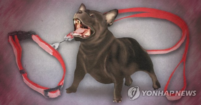 (사진=연합뉴스)