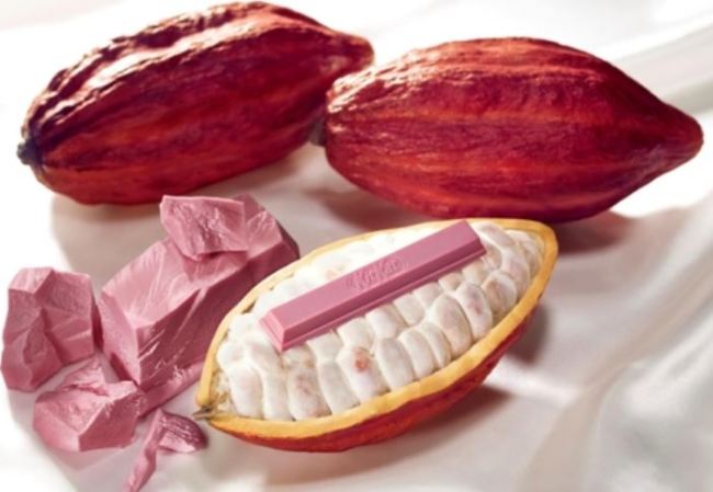 This undated photo, provided by the local unit of Swiss confectionery giant Nestle, shows its new KitKat product made of Ruby chocolate. It will be available exclusive in the Korean and Japanese market from Jan. 19, 2018. (Yonhap)