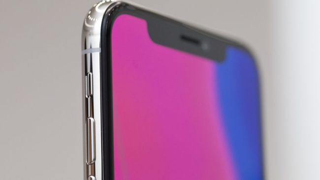 Samsung Display is the sole OLED supplier for Apple's iPhone X.