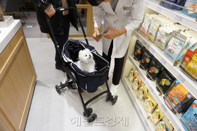 사진은 왼쪽부터 시계방향으로 26일 오후 4시 서울 강남구 대치동 롯데백화점 반려동물 전문 컨설팅 매장 ‘집사(ZIPSA)’에서 손님들이 매장을 둘러보고 있는 모습과, 스타견 ‘달리’가 손광빈 컨설턴트의 말에 귀를 쫑긋 세우고 있는 모습과 도그워커 임지훈(32) 씨가 하치(6ㆍ암컷)를 산책시키고 있다.  [제공=롯데백화점]