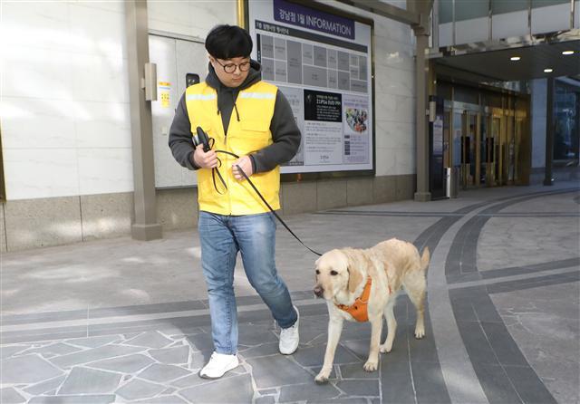 사진은 왼쪽부터 시계방향으로 26일 오후 4시 서울 강남구 대치동 롯데백화점 반려동물 전문 컨설팅 매장 ‘집사(ZIPSA)’에서 손님들이 매장을 둘러보고 있는 모습과, 스타견 ‘달리’가 손광빈 컨설턴트의 말에 귀를 쫑긋 세우고 있는 모습과 도그워커 임지훈(32) 씨가 하치(6ㆍ암컷)를 산책시키고 있다.  [제공=롯데백화점]