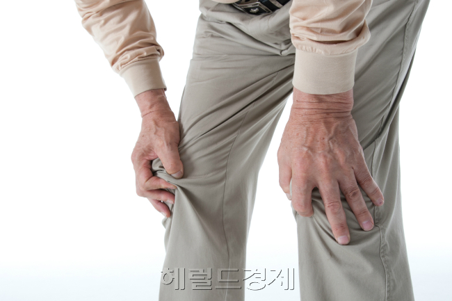 겨울철 혈액 순환이 잘 되지 않으면 몸 곳곳에 통증을 일으키는 것은 물론 체온까지 떨어뜨릴 수 있다. 혈액 순환이 원활하지 않아 생기는 겨울 질환이 관절염과 수족냉증이다. 특히 관절염은 초기에 적절한 운동, 체중 감량 등을 통해 무릎 부담을 줄여 주는 것이 중요하다. [헤럴드경제DB]