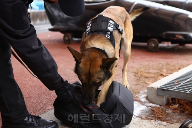 [사진=헤럴드경제DB]