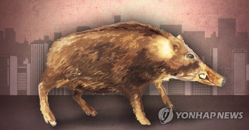 (사진=연합뉴스)