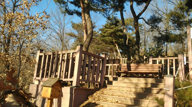 성남누비길 2구간 검단산 갈마치고개 연리지 나무 앞에 설치한 스탬프 인증대[사진제공=성남시]
성남누비길 2구간 검단산 갈마치고개 연리지 나무 앞에 설치한 스탬프 인증대[사진제공=성남시]