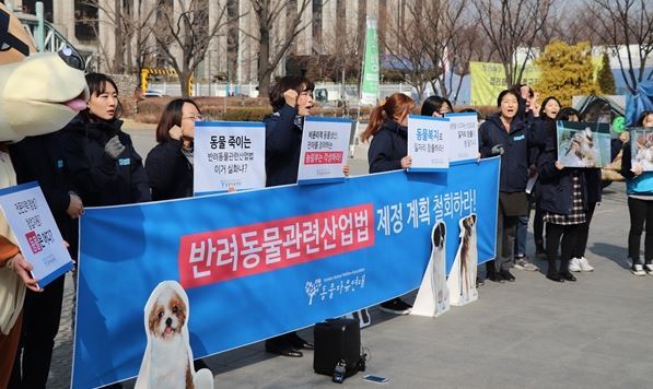 (Korean Animal Welfare Association)