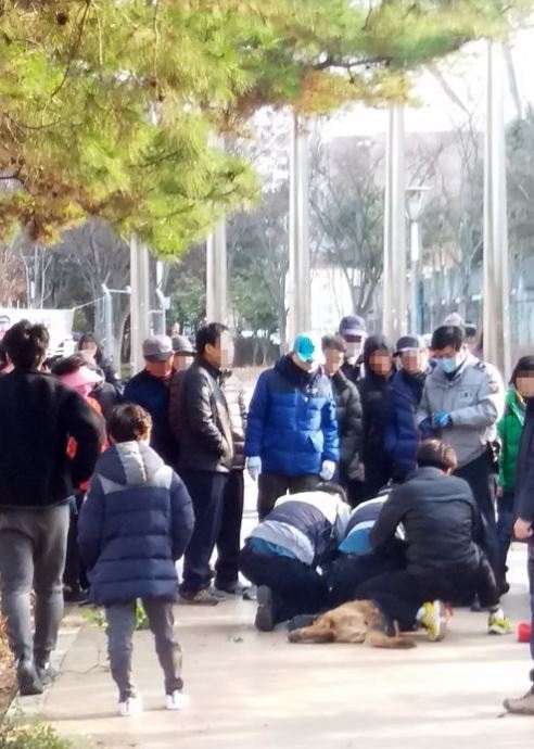 (사진=연합뉴스)