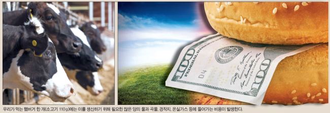 [지구의 역습, 식탁의 배신]햄버거 한 개에 숨은 진짜 가격