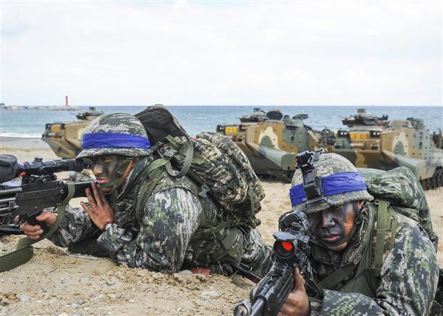 한·미연합군사훈련이 4월초 실시될 예정이라고 청와대가 밝힌 가운데 문정인 대통령 외교안보 특보가 독수리훈련의 조정 가능성을 언급해 실제 훈련 규모에 대한 관심이 증폭되고 있다. 사진은 작년 한미 해군과 해병대가 독수리훈련과 연계해 2년마다 실시하는 대규모 상륙작전 중심의 쌍룡훈련을 펼치고 있는 모습.  [헤럴드경제 DB]