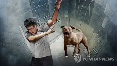 (사진=연합뉴스)