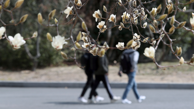 University students walk in the campus in spring. (Yonhap)