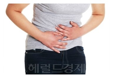 막바지 동남아시아 여행를 다녀온 후 설사, 복통 등의 증상이 있다면 장티푸스, 세균성 이질을 의심해 보는 것이 좋다. 올해 들어 국내에 신고가 접수된 동남아ㆍ세균성 이질 환자가 전년보다 4배가량 늘었고, 환자 중 4분의 3이 동남아를 다녀온 것으로 나타났다. [헤럴드경제DB]