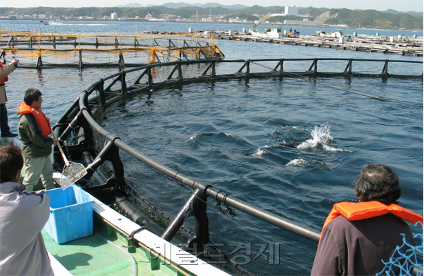 [사진=헤럴드경제DB]