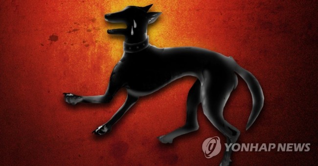 [제작 조혜인=연합뉴스]