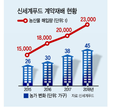 제주 서귀포 상모리에 위치한 제주섬친환경영농조합법인의 김대주 대표.