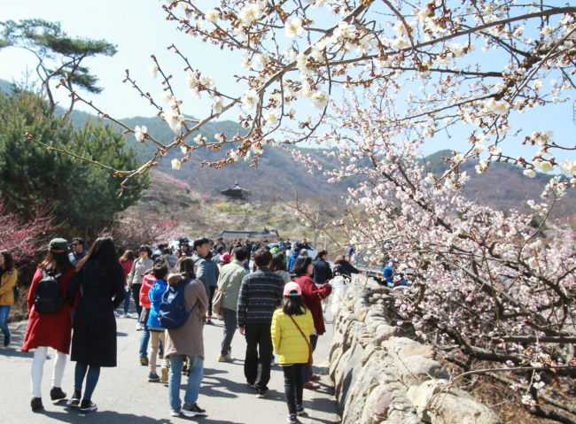 (Yonhap)