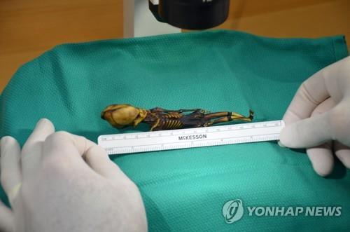아타 [AFP=연합뉴스]