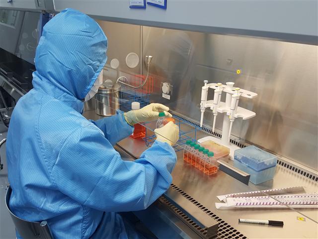 엔케이맥스 GMP연구소에서 방진복을 입고 실험에 몰두하고 있는 직원.